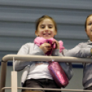 MKCSE VS GYŐRI AUDI ETO KC jótékonysági mérkőzés (Fotó: Horváth Attila)