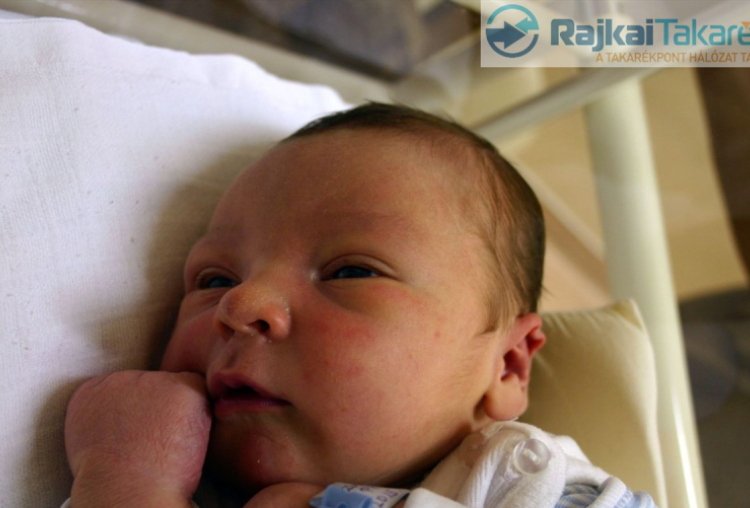 Bazsó Patrik, Győr