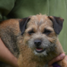 Agility Attilával (Fotó: Nagy Mária)