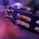 Szigetköz ízei, vármegye borai fesztivál / Pink Floyd Emlékzenekar koncertje (Fotó: Horváth Attila)