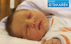 Szloboda Konor, Jánossomorja