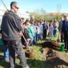 Faültetés a Föld Napja alkalmából