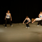 Jótékonysági műsor - Fehér és Máltai Szeretetszolgálat az Éltes iskola javára (Fotó: Horváth Attila)