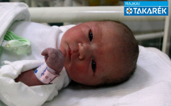 Lelkes Larina, Dunakiliti