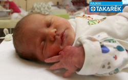 Gerencsér Bogi, Kapuvár