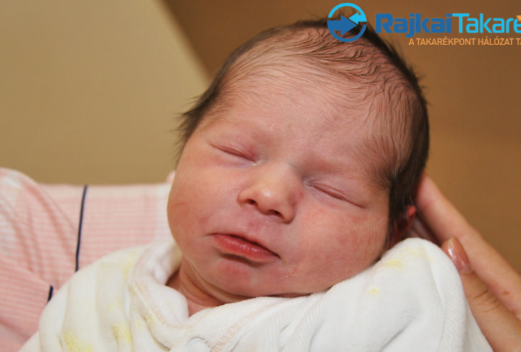 Barna Zalán, 2990 gr. Károlyháza