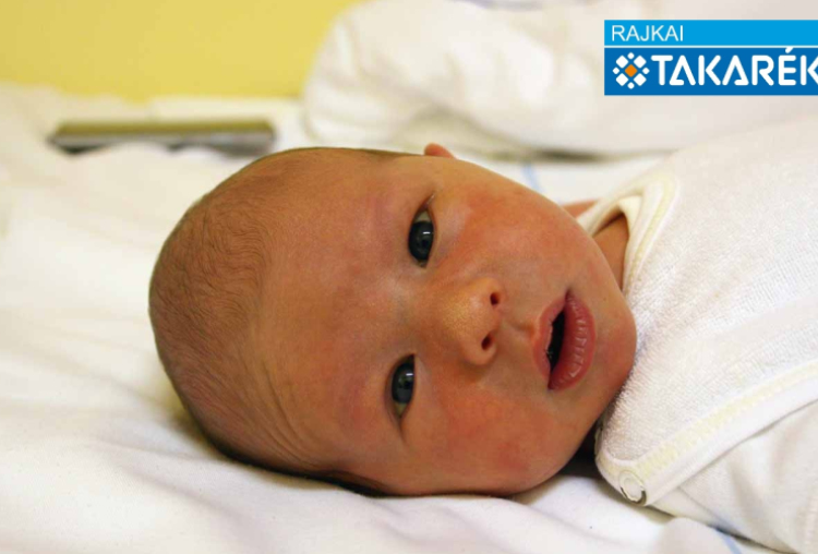 Winkler Ádin, Mosonmagyaróvár