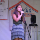 Szigetköz ízei, Vármegye borai Fesztivál 3 nap, 140 Éves Mosonmagyaróvár Város Tűzoltósága (Fotó: Bánhegyi István)