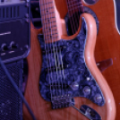 Szigetköz ízei, vármegye borai fesztivál / Pink Floyd Emlékzenekar koncertje (Fotó: Horváth Attila)