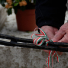 2015. MÁRCIUS 15. Mosonmagyaróvár (Fotó: Horváth Attila)