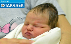 Miholics Máté, Csorna