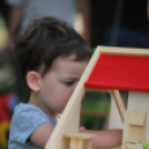 2 Kéklámpás nap (Fotó: Nagy Mária)