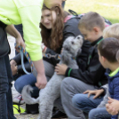 XII. Elfogadás napja Mosonmagyaróvár