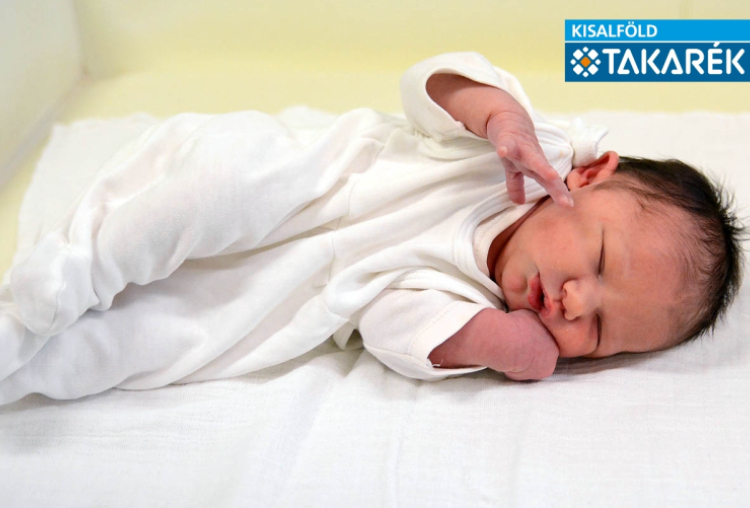 Horváth Franka, Beled