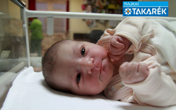 Kincses Flóra, Mosonmagyaróvár