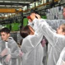 Kőrisfacsemetéket ültettek a diákok a Nolato Magyarország Kft telephelyén