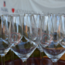 Szigetköz ízei, Vármegye borai Fesztivál 1. nap (Fotó: Bánhegyi István)