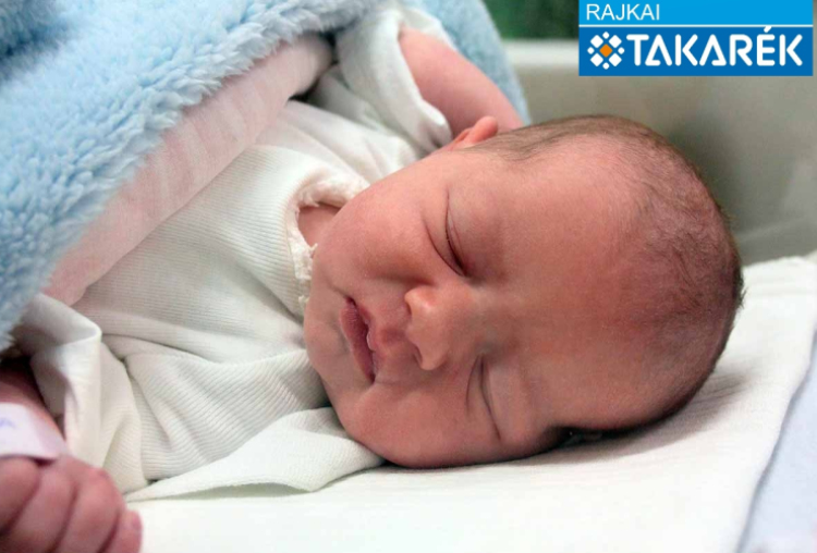 Sepf Rozina, Mosonmagyaróvár