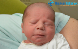 Niczki Dániel, 2750 gr. Levél