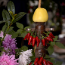 Termény- és virágkiállítás 