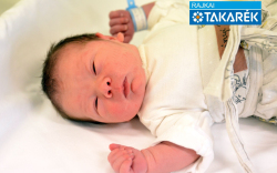 Ásványi Péter, Ásványráró