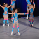 Jótékonysági Műsor