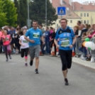 XIV. Greiner Szigetköz Félmaraton