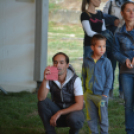 Szigetköz ízei, vármegye borai fesztivál - péntek (Fotó: Nagy Mária)