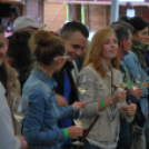 VII. Szigetköz ízei, Vármegye borai fesztivál péntek 2. (Fotó: Nagy Mária)