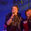 Szigetköz Ízei, Vármegye borai Fesztivál (péntek) (Fotó: Horváth Attila)