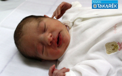 Szilágyi Sára, Farád