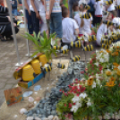 VI. Apró kezek, Csodakertek Gyermek Kertépítő verseny (Fotó: Bánhegyi István)