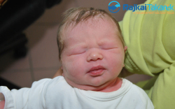 Kobli Kamilla, 3100 gr. Bezenye