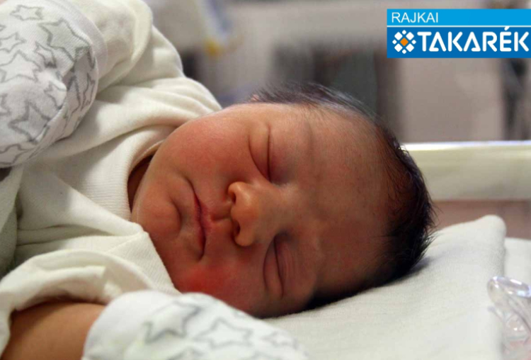 Hérics Luca, Mosonmagyaróvár