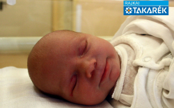 Szabó Kristóf, Bezenye