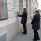 2015. MÁRCIUS 15. Mosonmagyaróvár (Fotó: Horváth Attila)