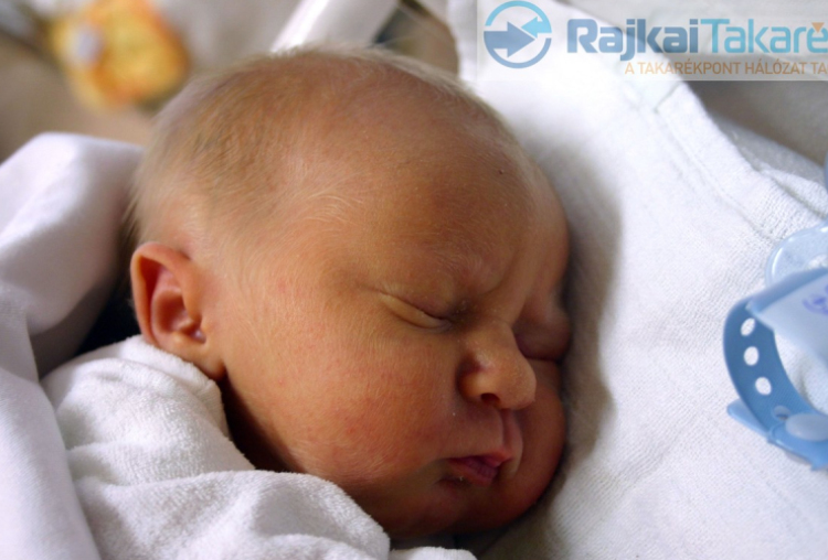 Gulyás Gábor, Levél