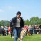 CAC kutyakiállítás (Fotó: Nagy Mária)