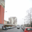 Erkel Ferenc út átadója (Fotó: Nagy Mária)