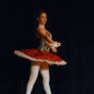 Ünnepi gálaműsor a tánc világnapja tiszteletére - Szigeti Gábor táncpedagógus emlékére