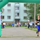 XII. Greiner Szigetköz Minimaraton (Fotó: Horváth Attila)