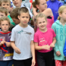 XII. Greiner Szigetköz Minimaraton (Fotó: Horváth Attila)