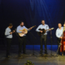 Dan Hrvata, Horvát Nap