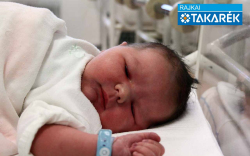 Czinczár Bence István, Mosonmagyaróvár