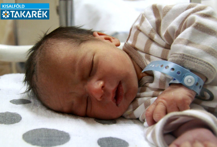 Németh Dominik, Levél