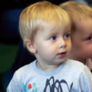 Pillangó Óvoda és Mini Bölcsőde - Szent Mihály nap