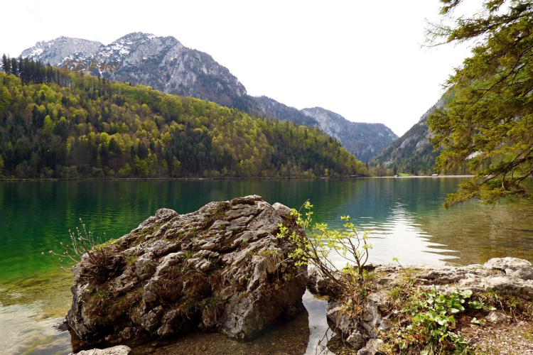 Tilai Gergely - Kerekesszéktől az önálló fotókiállításig