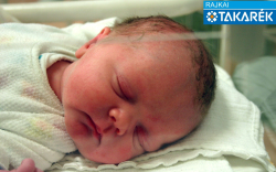 Tukovics Máté Olivér, Mosonmagyaróvár