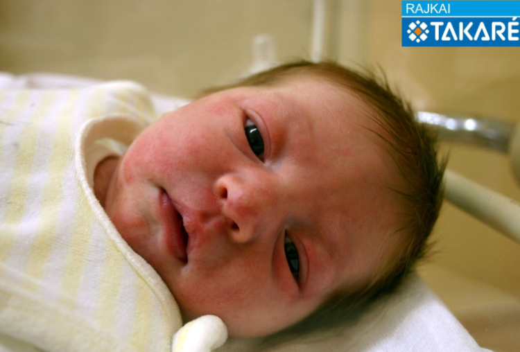 Pintér Teodor, Mosonmagyaróvár