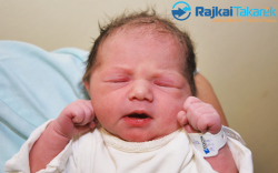 Sárközi Leila Andzselika, 2750 gr. Jánosso